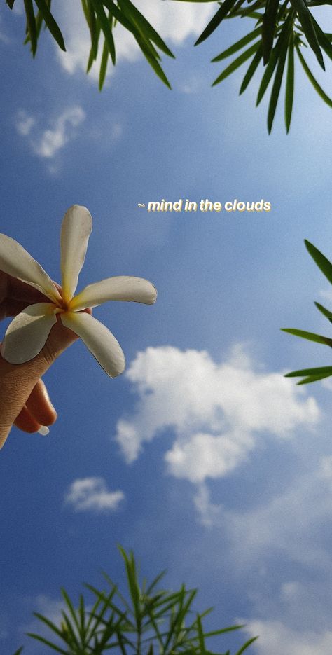 White Flower Quotes Instagram, Sky And Flowers Aesthetic Quotes, Nature Thoughts Quotes, Sky And Flowers Aesthetic, White Flower Quotes, Cloud Pictures Sky, Flower Instagram Story, Flower And Sky, Mind In The Clouds