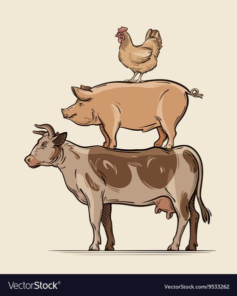 Pit Beef, Cow Pig Chicken, Chicken Vector, Pig Drawing, Barn Pictures, Vegan Tattoo, Chicken Painting, Pork Meat, Candy Art