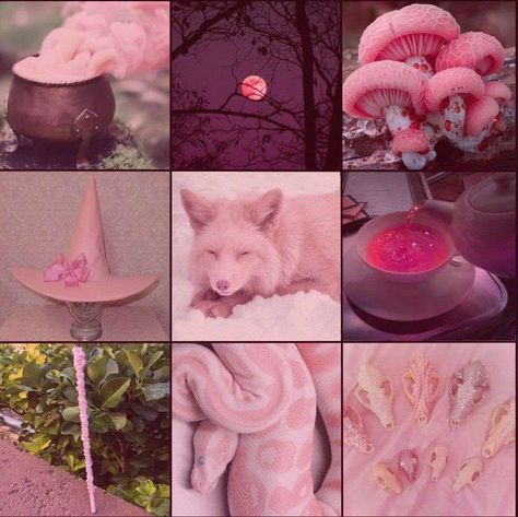 Halloween Mood Board Aesthetic, Adopt Moodboard, Adopt Inspiration, Pink Witch, Moodboard Inspo, Adopt Idea, Rainbow Aesthetic, Mood Board Inspiration, Mood Board Design