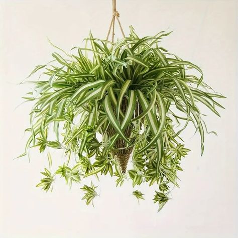 3pcs 24 Large Artificial Hanging Plants Spider Plants For Home Indoor Decor Greenery For Home Garden Office Wedding Decoration | Don't Miss These Great Deals | Temu Spider Plant Indoor, Outdoor Fish Tank, Hanging Orchid, Cheap Artificial Plants, Majlis Perkahwinan, Artificial Hanging Plants, Plant Wall Decor, Hanging Plant Wall, Spider Plant