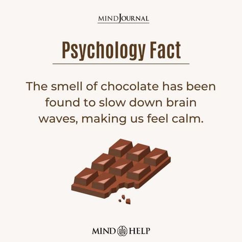 The smell of chocolate has been found to slow down brain waves, making us feel calm. #chocolate #slowdown Facts About Chocolate, Chocolate Quotes Cute, How To Smell Like Chocolate, Funny Chocolate Quotes, Chocolate Sayings, Chocolate Facts, Bakery Quotes, Chocolate Activities, Benefits Of Chocolate