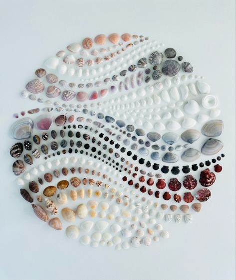 Abstract collage of seashells, waves of seashells from Playa la Ensenada, Panama Seashell Table, Seashell Art Diy, Seaglass Art, Seashell Wall Art, Art Coquillage, Seashell Projects, Shells Diy, Deco Nature, Shell Crafts Diy