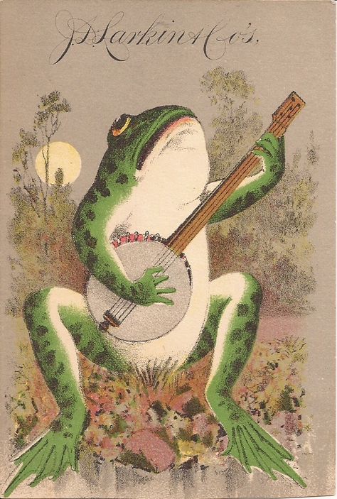 Frog With Banjo, Frog Rock, J S, Banjo, Post Cards, Playing Guitar, Vintage Postcards, Rock And Roll, Art Inspo