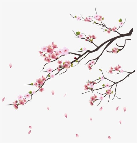 Cherry Blossom Vector, Plant Png, Cherry Blossom Painting, Frame Floral, Cherry Blossom Branch, Cherry Blossom Art, Cherry Blossom Tattoo, Blossom Tattoo, Sakura Tree