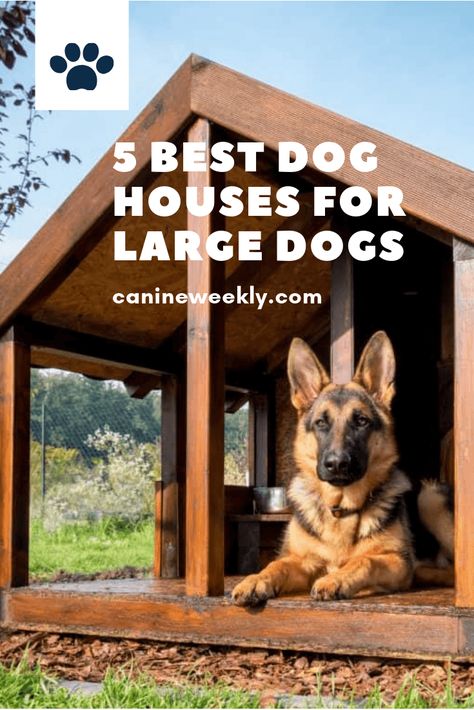 5 Best Dog Houses for Large Dogs. Learn how to select dog houses suitable for large breed dogs. Read here and find one that is perfect for your pup. #canineweekly #doghousesforlargedogs #bestdoghouseideas #housefordogs #dogshelteroutdoor Dog House Diy Outdoor, Large Dog House Plans, Cheap Dog Houses, Big Dog House, Large Breed Dogs, Build A Dog House, Large Dog House, Outdoor Dog House, Dog House Plans