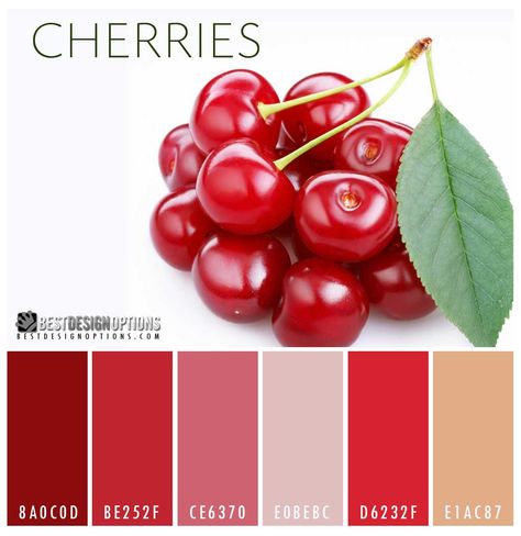 cherry-color-palette Dove Logo Design, Bright Color Palettes, Color Plan, Summer Color Palette, Color Palette Bright, Design Seeds, Delicious Fruit, Color Swatch, Color Textures