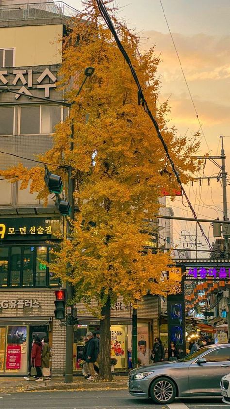 Seoul Korea Aesthetic, Korea Aesthetic, Autumn Instagram, Welcome Autumn, Seoul Korea, Instagram Life, South Korea, Seoul, Yellow