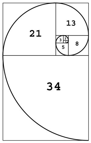 Fibonnaci Sequence Drawing, Fibanocci Spiral, Fibonacci Design, Fibonacci Spiral Art, Fibonacci Art, Fibonacci Golden Ratio, Golden Section, Divine Proportion, Spiral Art