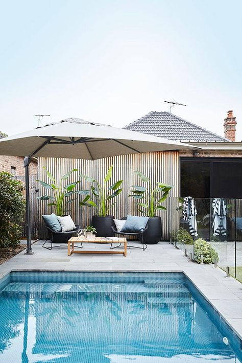 Landscapers, Landscape Design Company | Harrison's Landscaping, Sydney NSW | Randwick Wrought Iron Pool Fence, Pool Inspiration, Plunge Pools, Pool Landscape Design, Diy Swimming Pool, Pool Landscape, Backyard Pool Landscaping, Modern Pools, Pool Fence