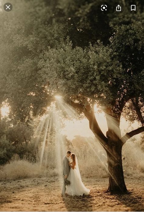 Wedding Landscape Photography Photo Ideas, Photography Ideas For Weddings, Wedding Foto Ideas Creative, Outdoor Wedding Pictures Ideas, Woods Elopement Photo Ideas, Rustic Wedding Portraits, Wedding Pictures In A Field, Woods Wedding Photography, Wedding Photo Ideas Woods