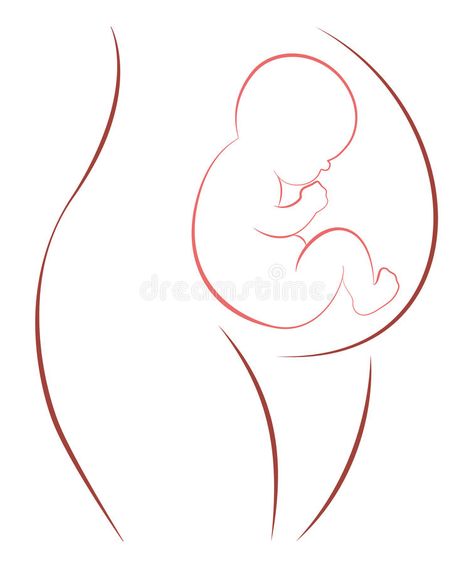 Pregnant Mother Drawing, Pregnancy Drawing Sketches, Baby In Womb Drawing, Pregnant Belly Drawing, Pregnancy Reference Drawing, Pregnancy Art Drawing, Pregnant Women Drawing, Newborn Baby Drawing, Mother And Baby Drawing