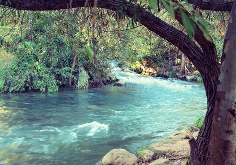 Mount Hermon, The Jordan River, Jordan River, Baptism Photos, Sea Of Galilee, River Painting, Nile River, Three Rivers, Water Sources