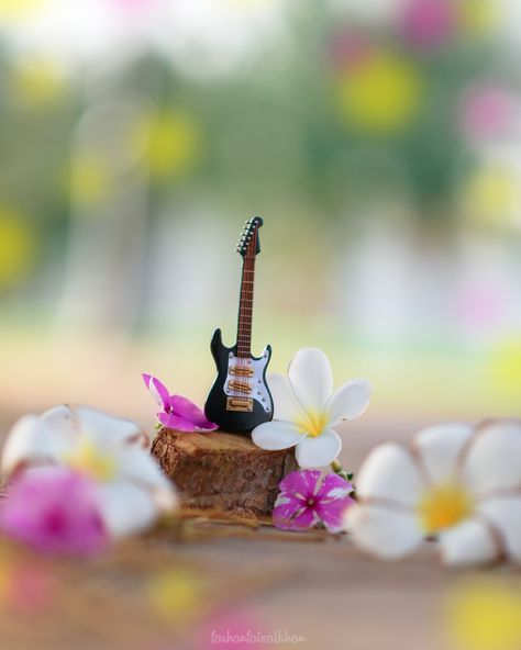 Guitar with lovely bokeh photography #guitar #bokeh #farhanfaisalkhan #flowers Images For Dp, Cute Minions Wallpaper, Miniature Wallpaper, Guitar Images, Calligraphy Background, Hello Kitty Wallpaper Hd, Cute Minions, Minions Wallpaper, Miniature Photography