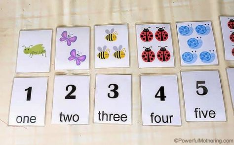 Terrific Toddler Activities for Share it Saturday Number Cards Printable, Kids Learning Numbers, Free Printable Numbers, Early Learning Activities, Counting Cards, Numbers For Kids, Numbers Preschool, Printable Flash Cards, Printable Numbers