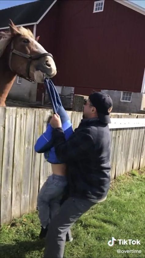 Horses Doing Funny Things, Most Funny Videos Laughing, Pet Funny Videos, Laughing Videos Funny Stuff, Funny Stuff Videos, Lol Videos Hilarious, Very Funny Videos Laughing, Funny Tiktoks Video, Jokes Videos Funny