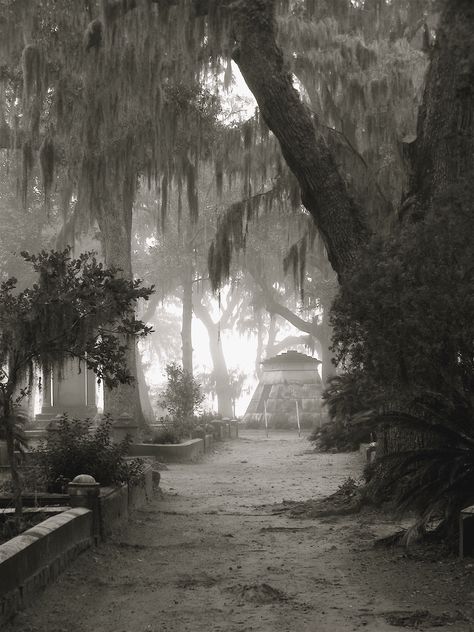 . Ethereal Plane, Gothic Background, Cemeteries Photography, Bonaventure Cemetery, Cemetery Headstones, Between Two Worlds, The Boogeyman, Old Cemeteries, Cemetery Art