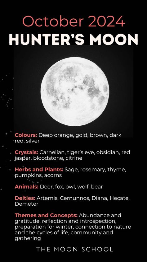 Full Hunter’s Moon Oct 2024: Here’s Everything You Need to Know Hunter’s Full Moon, Hunters Moon Meaning, Hunters Moon 2024, Hunters Full Moon Ritual, Full Moon October 2024, Hunters Moon Ritual, Magical Reference, Hunters Full Moon, Moon Knowledge