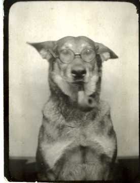 Wearing Glasses, A Dog, I Love You, Love You, I Love, Black And White, White, Black