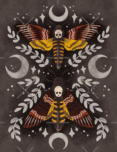 Skull Moth by serafineaandd | Redbubble Celestial Watercolor, Moth Illustration, Skull Moth, Surface Pattern Design Inspiration, Cottage Core Art, Moth Tattoo, Pattern Design Inspiration, Whimsical Decor, Whimsical Illustration