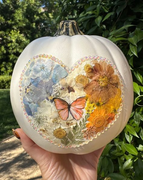 Pressed flower pumpkins Pressed Flower Pumpkin, Flower Pumpkins, Easy Heart Drawings, Pumpkins Painting, Diy Pumpkins, Pumpkin Drawing, Rock Painting Tutorial, Halloween Flowers, Halloween Rocks