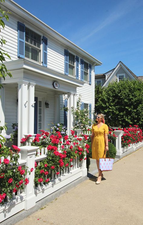 Old North Wharf in Nantucket — Kristy & New England Connecticut Aesthetic, Stonington Connecticut, Seafood Cocktail, Hydrangea Bush, Rain Collection, Coming Up Roses, Stay Overnight, Aesthetic Summer, Beautiful Summer