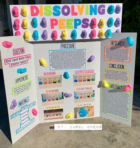 Candy Science Fair Projects, Softball Science Fair Projects, Science Project Poster Board Ideas, Makeup Science Fair Projects, Science Fair Topics Middle School, Science Fair Boards Display, Preppy Science Fair Projects, Science Fare Project Ideas, Science Fair High School