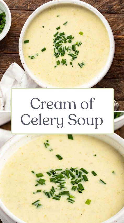 Skip the canned stuff! Homemade cream of celery soup is so easy to make, and it's full of incredible flavor, using just a handful of pantry staple ingredients. Easily make it gluten free and/or dairy free! Homemade Cream Of Celery Soup, Corn Soup Recipes, Celery Recipes, Healthy Nutrition Plan, Cream Of Celery, Cream Of Celery Soup, Celery Soup, Hot Soup, 140 Pounds