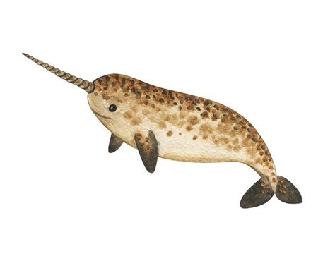 Watercolor Narwhal, Bujo Decoration, Narwhal Illustration, Narwhal Drawing, Illustration Underwater, Water Cartoon, Cute Narwhal, Cartoon Sea Animals, Sea Drawing