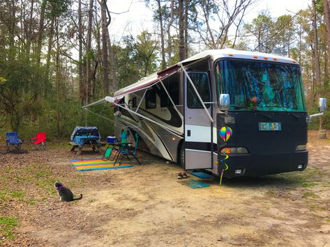 Myrtle Beach State Park, State Park Camping, South Carolina Beaches, Beach South Carolina, Myrtle Beach South Carolina, Myrtle Beach, Tent Camping, State Park, South Carolina