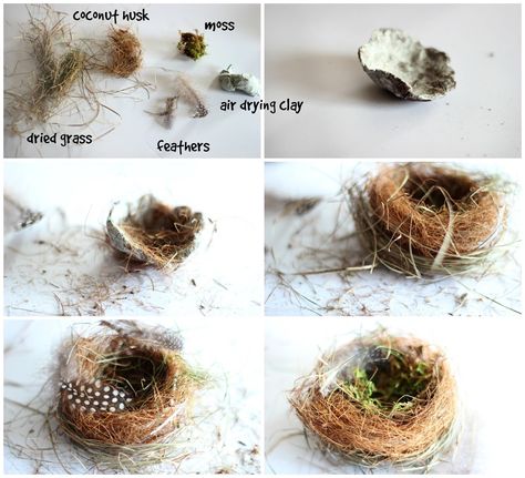 realistic  Clay Birds | Like a real nest, I wanted the base to have support and Bird Nest Craft, Bird Artists, Bird Eggs, Spring Fling, Nature Crafts, Bird Nest, Easter Diy, Spring Crafts, Bird Feathers