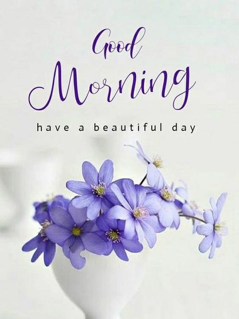 Good Morning Saturday Images with Beautiful Quotes 8 Good Morning Saturday Images, Nice Good Morning Images, Saturday Images, Good Morning Saturday, Good Morning Happy Sunday, Good Morning Flowers Quotes, Good Morning Flowers Pictures, Good Morning Beautiful Pictures, Good Morning Friends Images