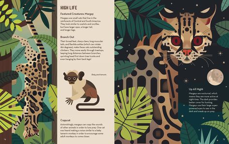 Owen Davey, Animals And Plants, Drawings Ideas, Book Design Layout, Art And Illustration, About Cats, Editorial Illustration, Children's Book Illustration, Graphic Design Posters