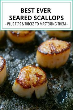 Easy Scallop Recipes, How To Cook Scallops, Pan Seared Scallops, Seared Scallops, Scallop Recipes, Fish Dinner, Scallops Seared, Seafood Dinner, Pan Seared