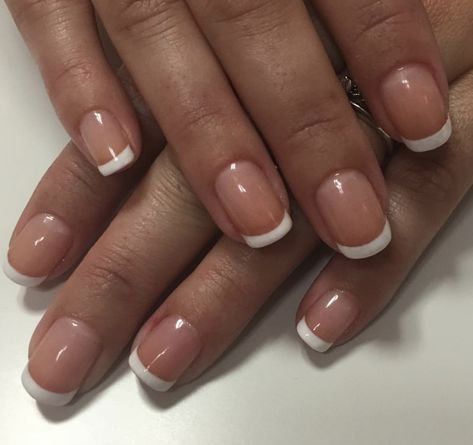 French Shellac Nails, French Tip Shellac, French Shellac, Shellac Nails, Acrylic Nails, Nails