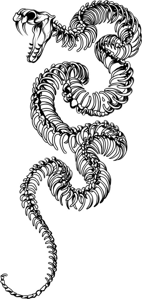 Tattoo Designs Png, Sketch Snake, Drawing Snake, Snake Sketch, Stammestattoo Designs, Line Art Tattoo, 16 Tattoo, Snake Drawing, Rune Tattoo