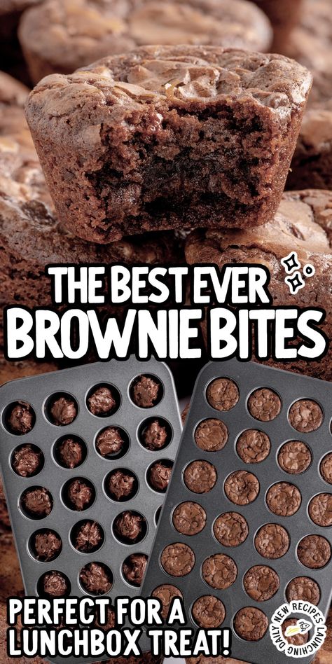 These heavenly brownie bites are the perfect bite-sized treat, with a rich chocolate flavor and decadent texture. Brownie Bites Halloween, Brownies For A Party, Brownie Bites Recipe Minis, Easy Brownie Bites Recipe, Mini Muffin Brownie Bites, Brownie Bite Ideas, Brownie Mini Muffins, Mini Brownie Cups, School Brownies