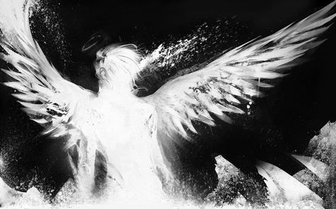 An Angel, Angel, Black And White, Music, White, Black