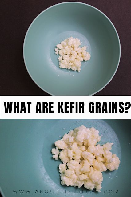 Kefir Grains How To Make, Homemade Kefir, Kefir Starter, Kefir Benefits, Milk Kefir Grains, Kefir Recipes, Kefir Grains, Water Kefir, Milk Kefir