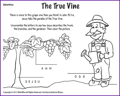 Jesus Parables, True Vine, Childrens Bible, I Am Statements, The Gardener, Reading Instruction, Healing Words, The Trunk, Bible Crafts