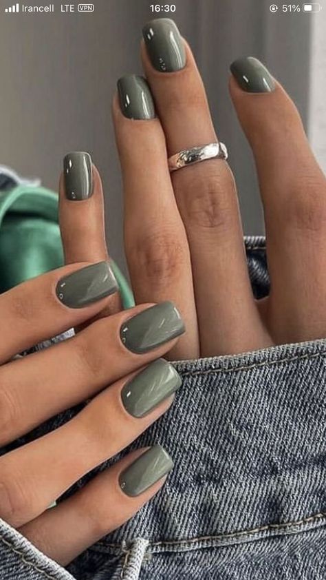 Bunch Ideas Lunch, Complimentary Nail Colors, Nail Ideas Dipped, September Gel Nail Ideas, Nails For Family Pictures, Gel Nails Ideas Short Summer Simple, Fall Nail Colors Black Women, Classy Nail Colors, Neutral Dip Nails