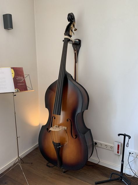 Double Bass Stand, Upright Bass Aesthetic, Double Bass Aesthetic, Base Instrument, Bass Orchestra, Cool Instruments, Bass Instrument, Bass Cello, Instrument Music