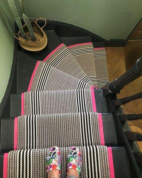 If you can’t find what you want, do a decor hack! For new followers, this is actually a hot pink stripe painted directly onto the wooden… | Instagram Stairs Runner Carpet, Staircase Runners, Upstairs Carpet, Carpet For Stairs, Striped Stair Runner, Staircase Runner, Stairs Ideas, Stair Carpet, Hallway Designs