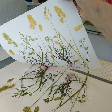 Mono Printing, Nature Art Prints, Plant Drawing, Trendy Flowers, Stenciling, Nature Crafts, Art Painting Acrylic, Monoprint, Arte Floral