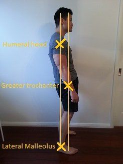 Sway Back Posture, Hip Impingement Exercises, Posterior Pelvic Tilt, Fix Rounded Shoulders, Posture Fix, Sway Back, Back Posture, Fix Your Posture, Forward Head Posture