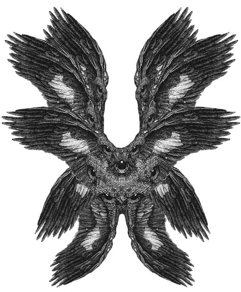 Angel Seraphim, Biblically Accurate Angel, Biblically Accurate, Birds, Angel, Black And White, Black, Art