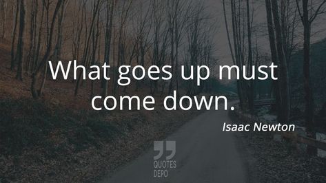 What goes up must come down. What Goes Up Must Come Down Quotes, Isaac Newton Quotes, Newton Quotes, Down Quotes, Isaac Newton, Interesting Quotes, Go Up, Funny, Quotes