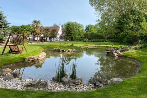 Backyard With Pond, Wildlife Pond, Retention Pond, Large Backyard Landscaping, Farm Pond, Natural Swimming Ponds, Pond Maintenance, Garden Pond Design, Outdoor Ponds