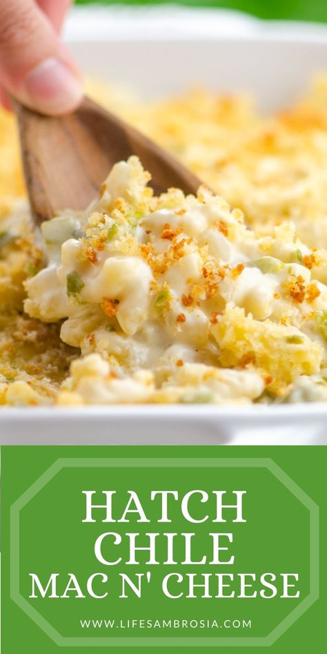 Baked Green Chili Mac And Cheese Recipe, Green Chile Macaroni And Cheese, Green Chili Mac And Cheese Baked, Green Chili Chicken Mac And Cheese, Hatch Chile Mac And Cheese, Hatch Mac And Cheese, Mac And Cheese With A Twist, Hatch Green Chili Mac And Cheese, Hatch Chili Mac And Cheese