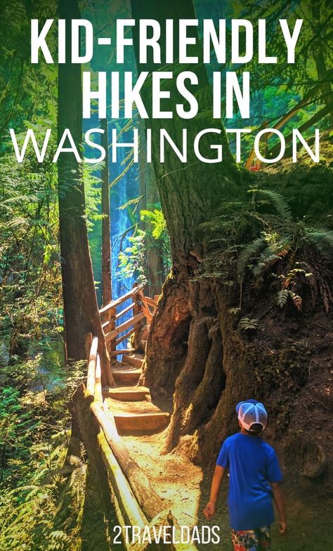 Washington State Hikes, Pacific Northwest Travel, Washington State Travel, Washington Hikes, Washington Travel, Mount Rainier National Park, Hiking With Kids, Ancient Forest, Best Hikes