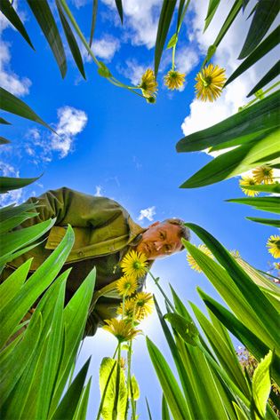 Finding fresh angles to shoot from in photography Wide Angle Photography, 360 Photography, Perspective Photography, Composition Photography, Photography 101, Foto Poses, Photography Lessons, Fun Wedding Photography, Photo Challenge